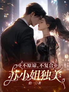 不原諒,不複合,蘇小姐獨美 封面
