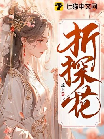 折探花 封面