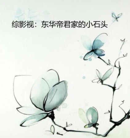 綜影視:東華帝君家的小石頭 封面