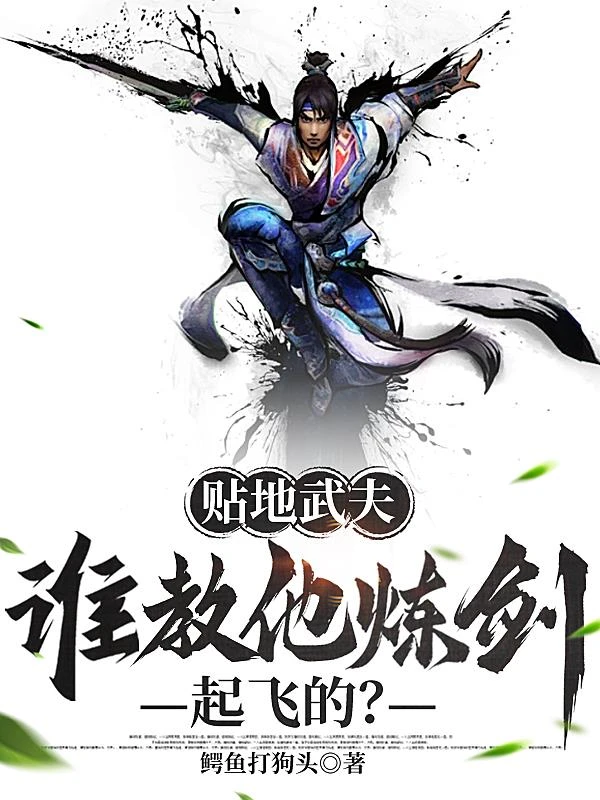 貼地武夫，誰教他煉劍起飛的？ 封面