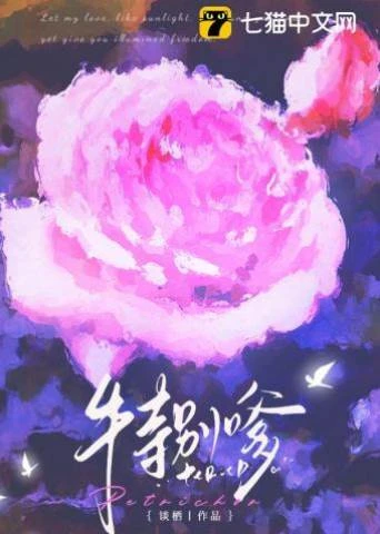 不務正夜 封面