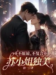 不原諒,不複合,蘇小姐獨美 封面