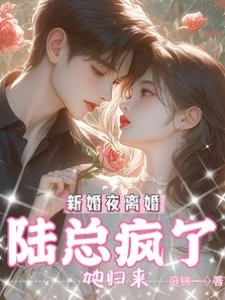 新婚夜離婚，她歸來，陸總瘋了 封面