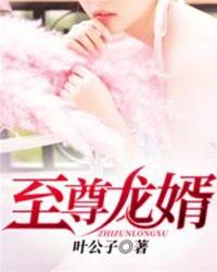 至尊龍婿 封面