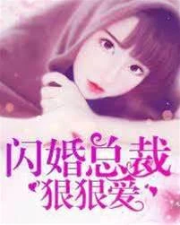 閃婚總裁狠狠愛 封面