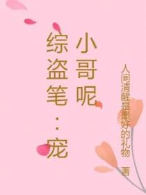 綜盜筆:不喜歡九門 封面