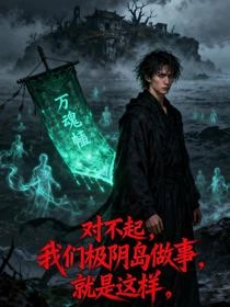 對不起，極陰島辦事就是這樣 封面
