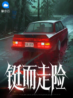 鋌而走險 封面