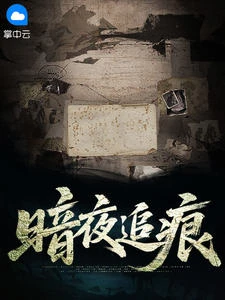 暗夜追痕 封面