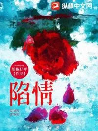 陷情 封面