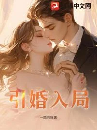 引婚入局 封面