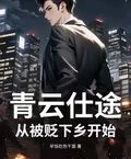 青雲仕途：從被貶下鄉開始 封面
