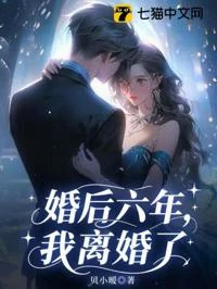 婚後六年,我離婚了 封面