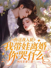 你送我入獄，我帶娃離婚你哭什麼 封面