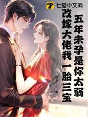 五年未孕是你太弱，再嫁大佬我一胎三寶 封面