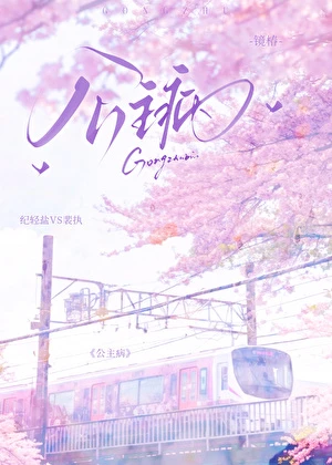 公主病 封面