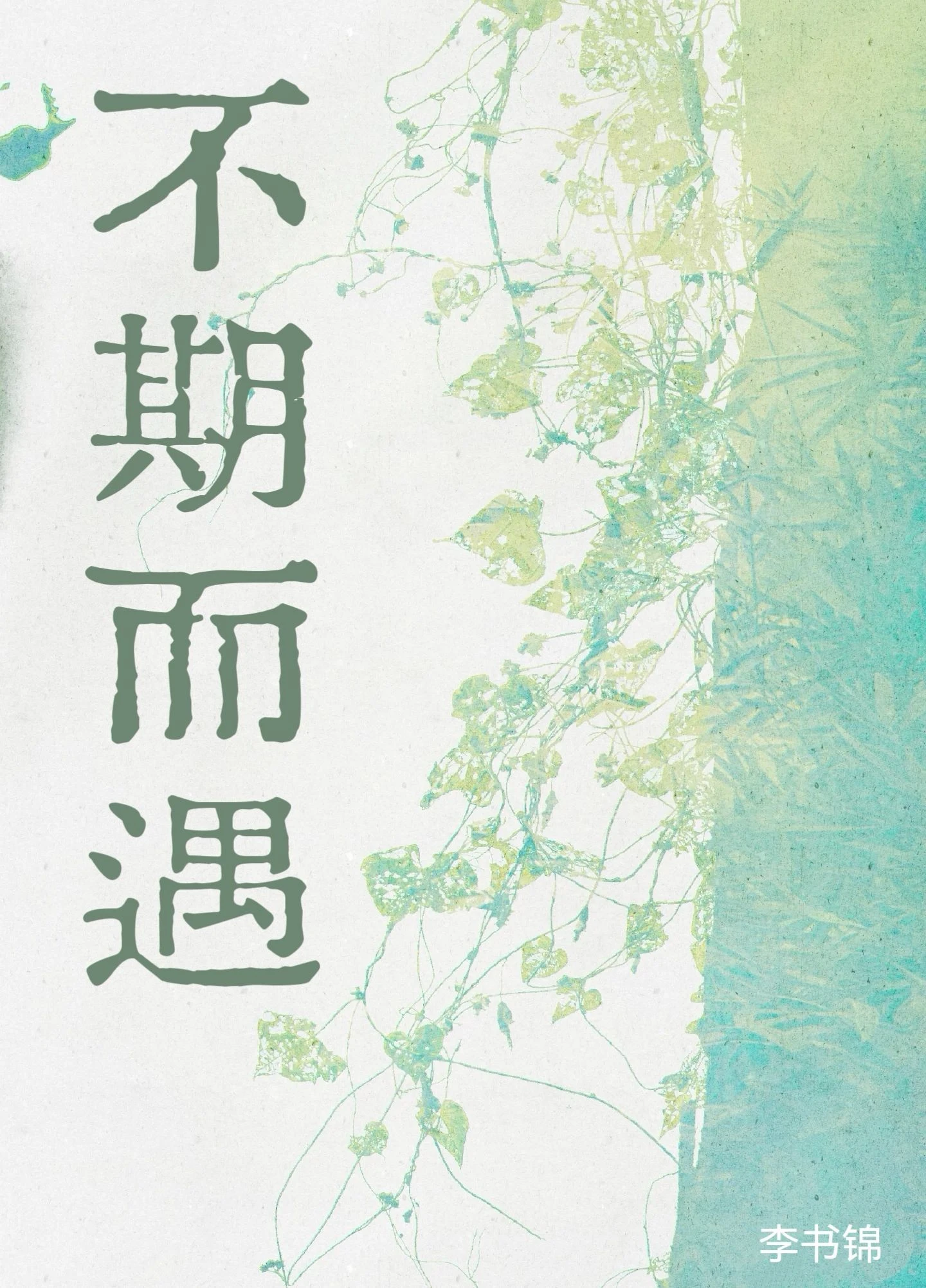 不期而遇 封面